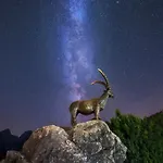 Апартаменты Jasna By The *