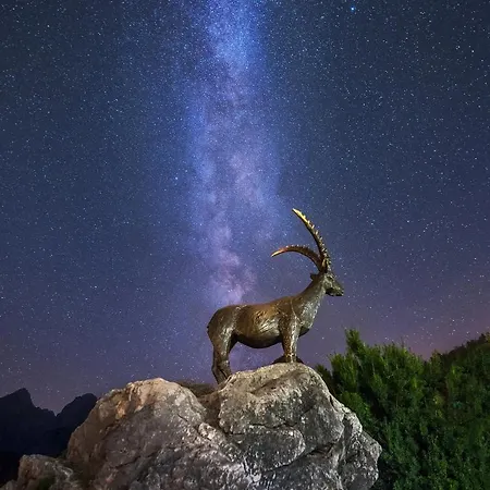 Appartement Jasna By The *