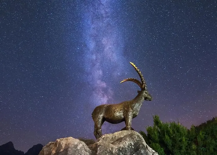 Apartment Jasna By The *